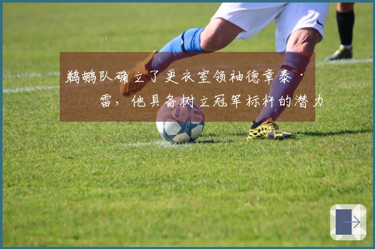 鹈鹕队确立了更衣室领袖德章泰·穆雷，他具备树立冠军标杆的潜力