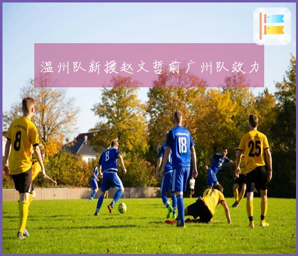 温州队新援赵文哲前广州队效力