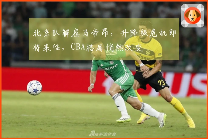 北京队解雇马帝昂，升降级危机即将来临，CBA格局悄然改变